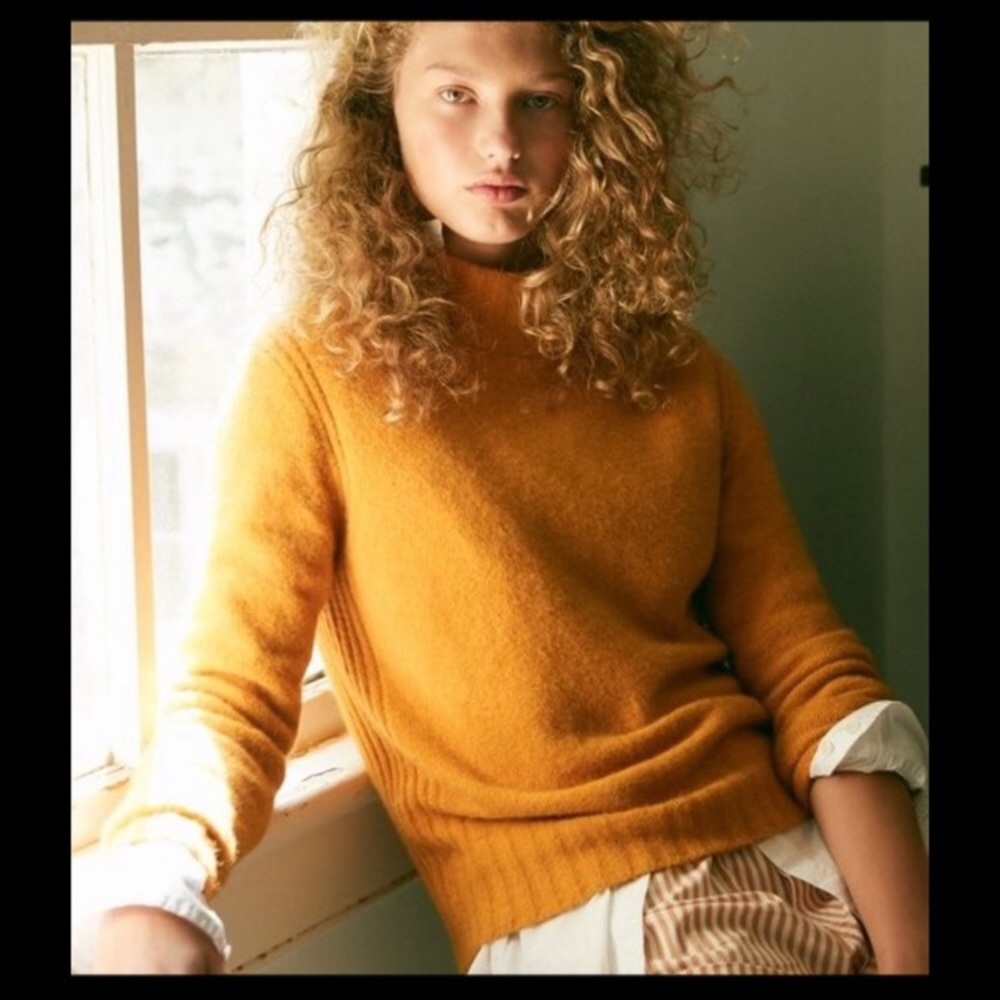 🎉J. Crew Point Sur Merino Wool Sweater🎉